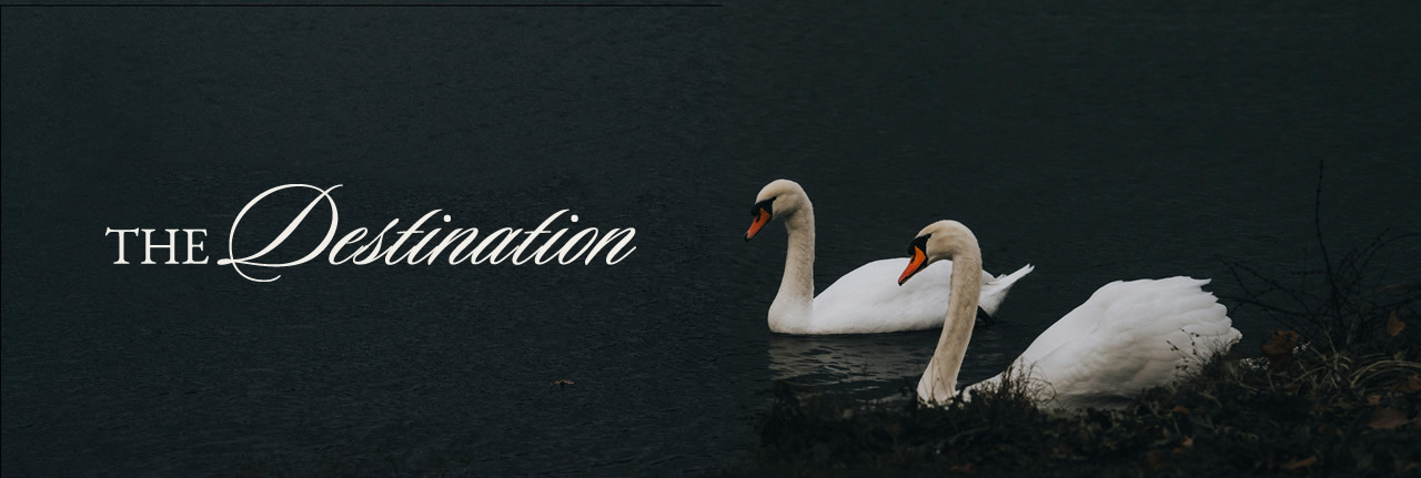 dest_supage-header
