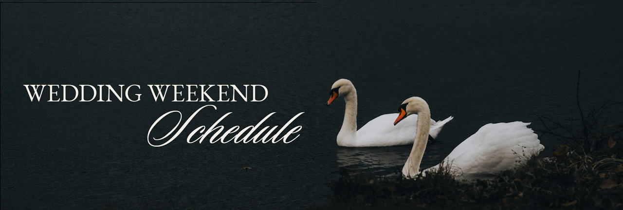 schedule-head
